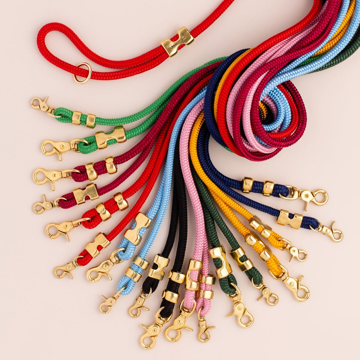 Leashes