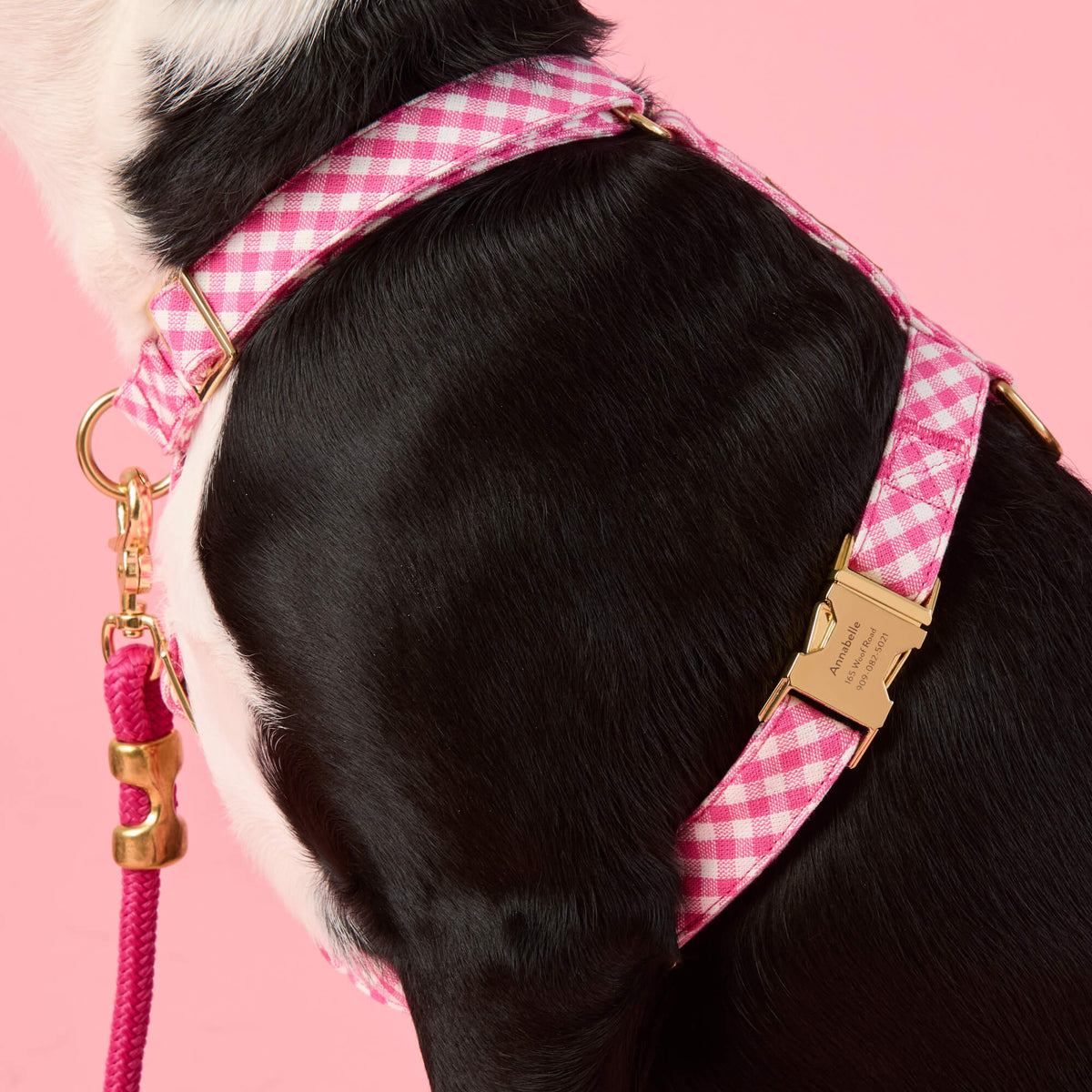 Dog Harnesses