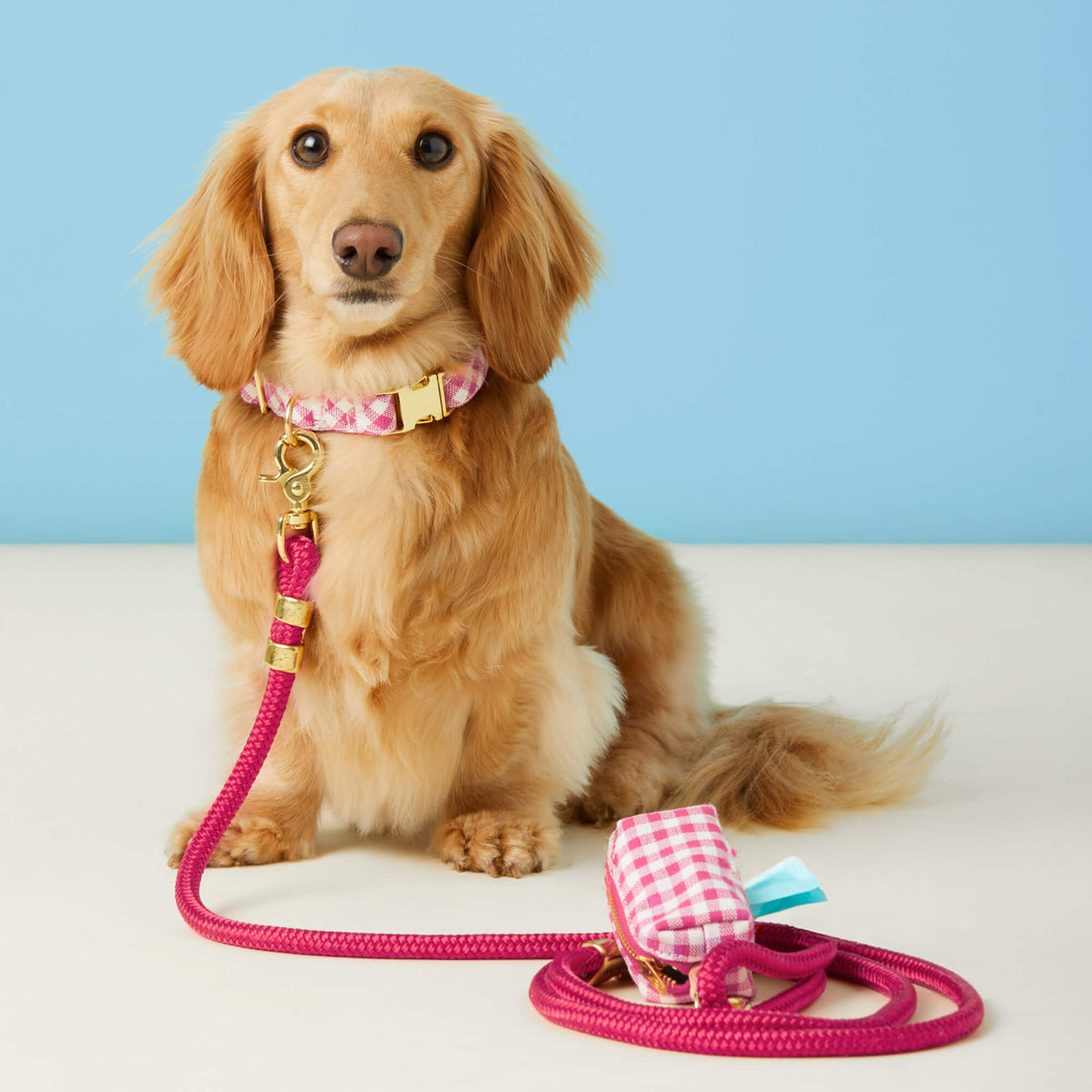 Dog Walk Sets