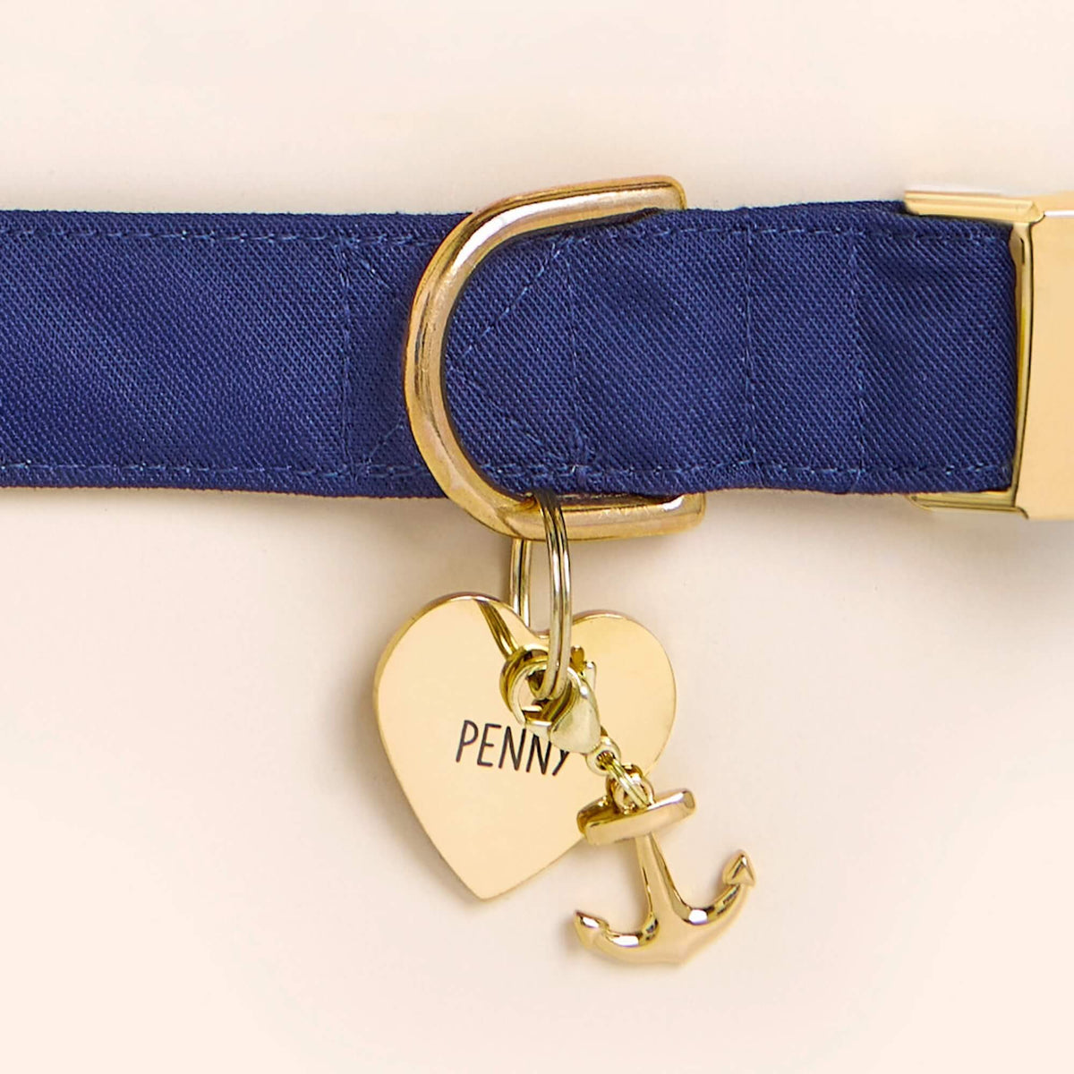 Ocean Dog Collar, Heart Pet ID Tag, and Gold Anchor Collar Charm from The Foggy Dog