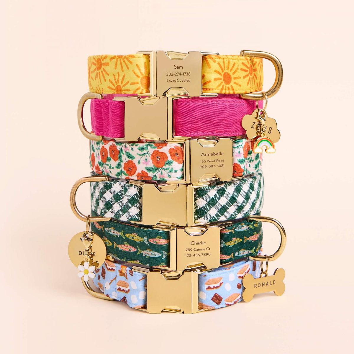 Here Comes the Sun, Hot Pink, Golden Poppies, Evergreen Gingham, Gone Fishing, and S'more to Love Dog Collar, Cloud Pet, Circle Pet, and Bone Pet ID Tag, Rainbow Collar Charm, and Daisy Collar Charm from The Foggy Dog