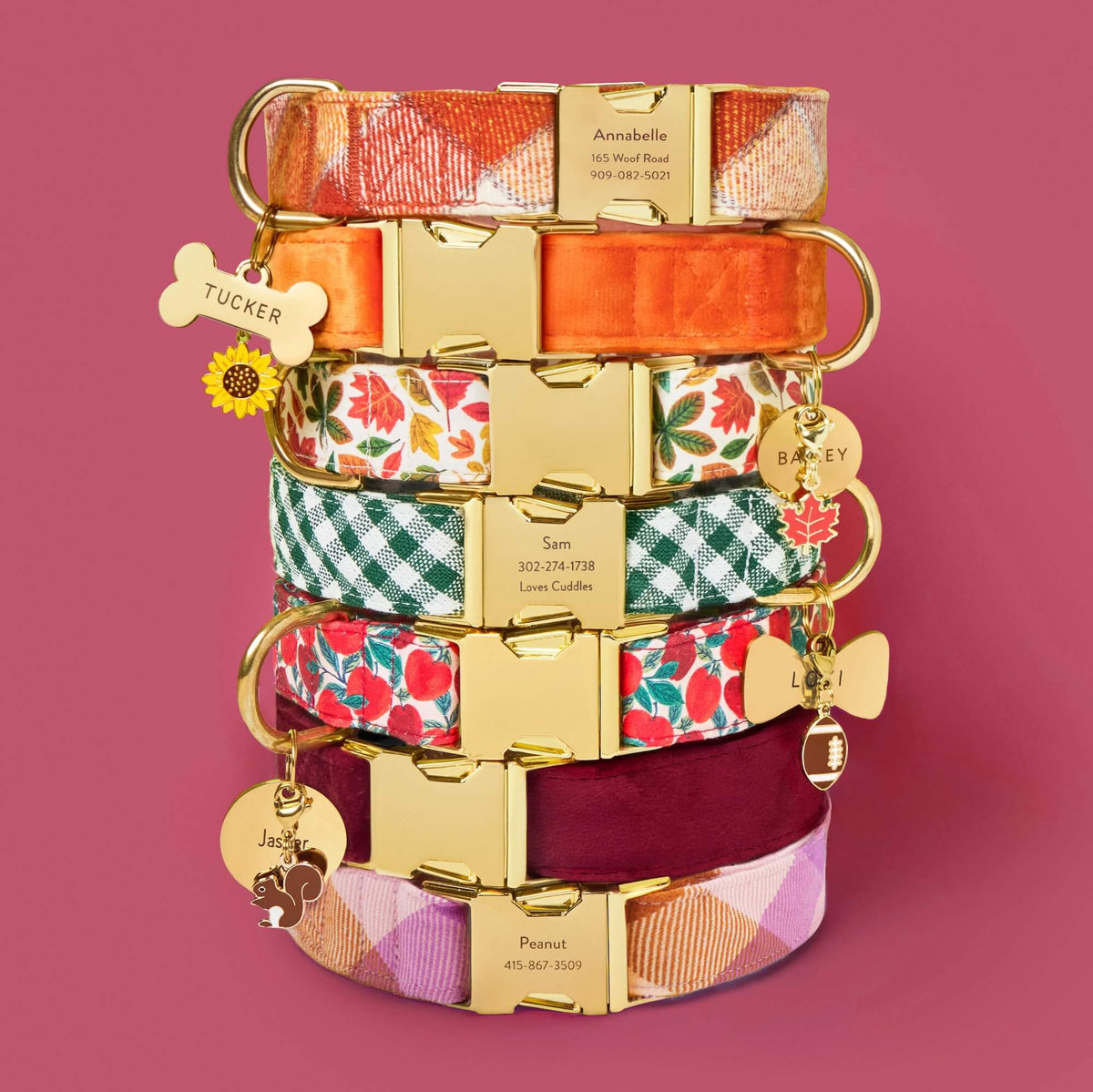 Pumpkin Spice Plaid Flannel, Pumpkin Velvet, Falling Leaves, Evergreen Gingham, Apple of My Eye, Burgundy Velvet, Bramble Flannel Dog Collar, Bone, Circle, Lady Bow Pet ID Tag, Football, Squirrel, Maple Leaf and Sunflower Collar Charm from The Foggy Dog