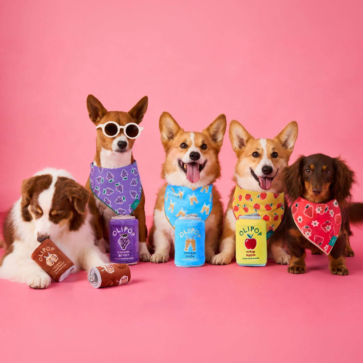 Olipop x The Foggy Dog Interactive Snuffle Dog Toys and Bandanas from The Foggy Dog