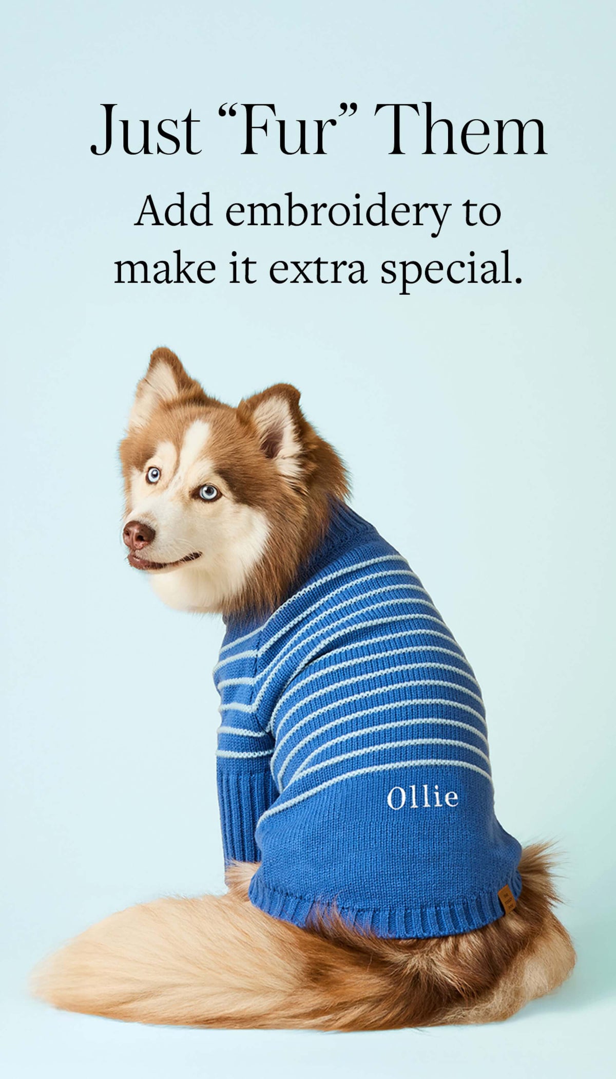 Personalize Dog Sweater at The Foggy Dog
