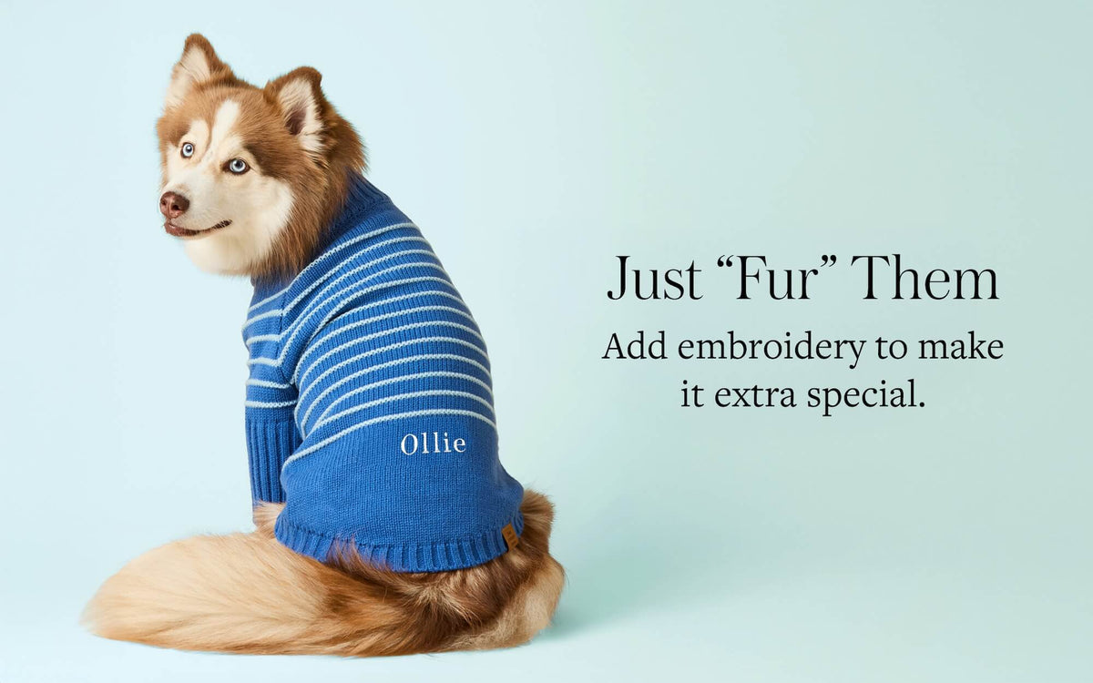 Personalize Dog Sweater at The Foggy Dog