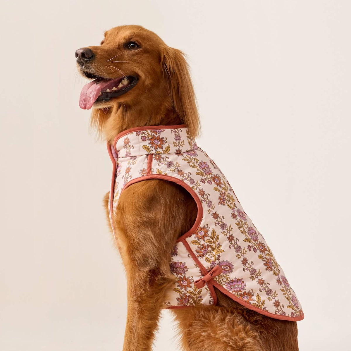 #Modeled by Maple (45lbs) in X-Large