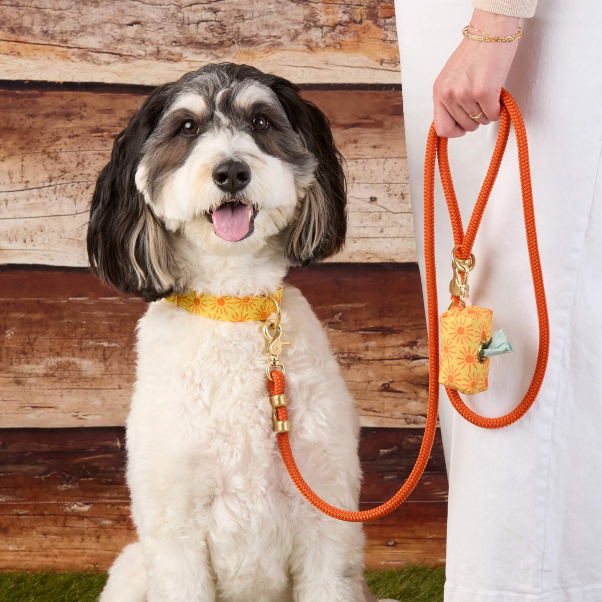 Cider Waxed Canvas Waste Bag Dispenser and Marine Rope Leash from The Foggy Dog