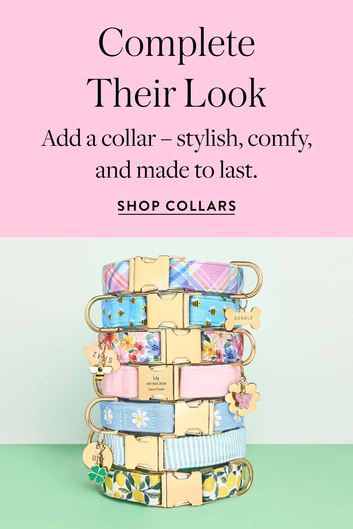 Collars and Charms from The Foggy Dog