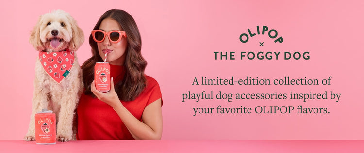 Olipop x The Foggy Dog. A limited-edition collection of playful dog accessories inspired by your favorite OLIPOP flavors.