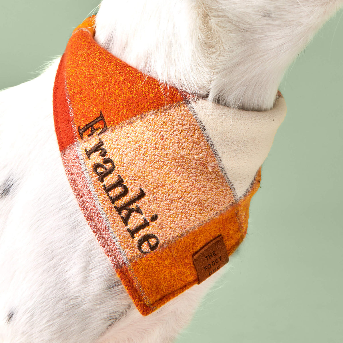 #Modeled by Fritz (10lbs) in Small