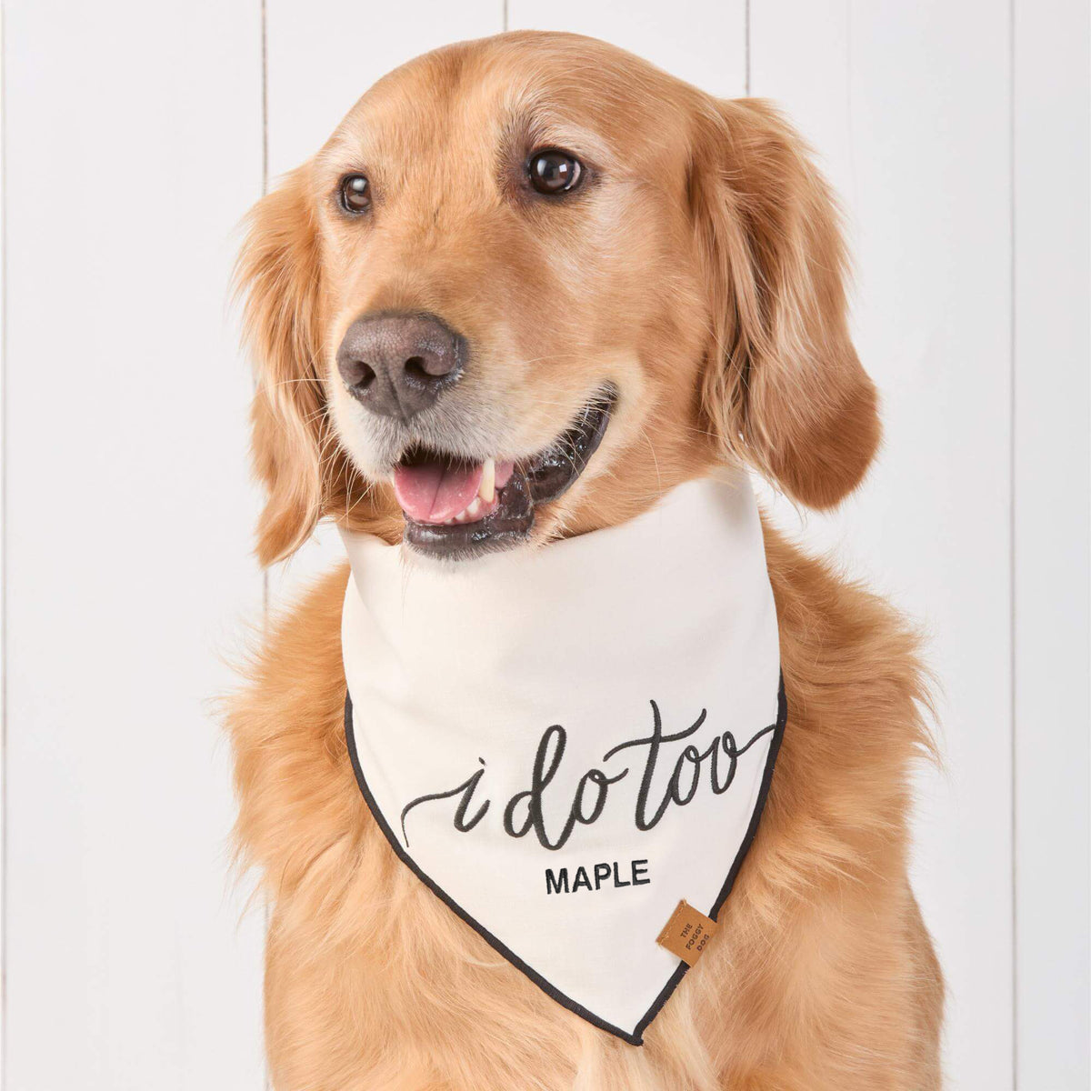 #Modeled by Atlas (75lbs) in Large