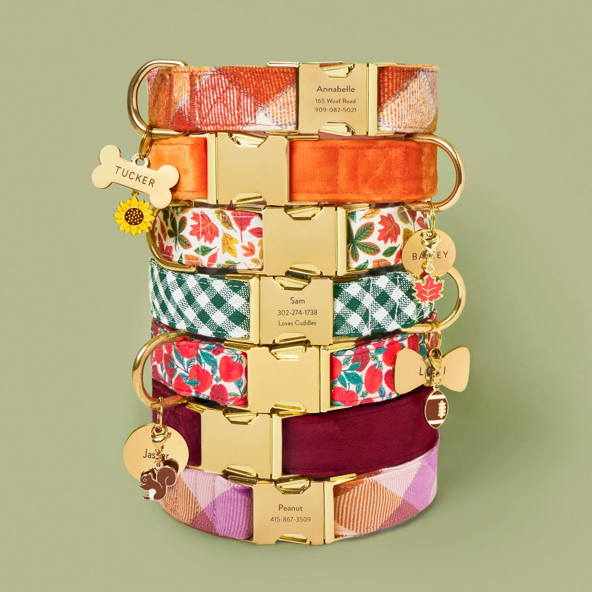 Pumpkin Spice Plaid Flannel, Pumpkin Velvet, Falling Leaves, Evergreen Gingham, Apple of My Eye, Burgundy Velvet, Bramble Flannel Dog Collar, Bone, Circle,  Lady Bow Pet ID Tag, Football, Squirrel, Maple Leaf and Sunflower Collar Charm from The Foggy Dog
