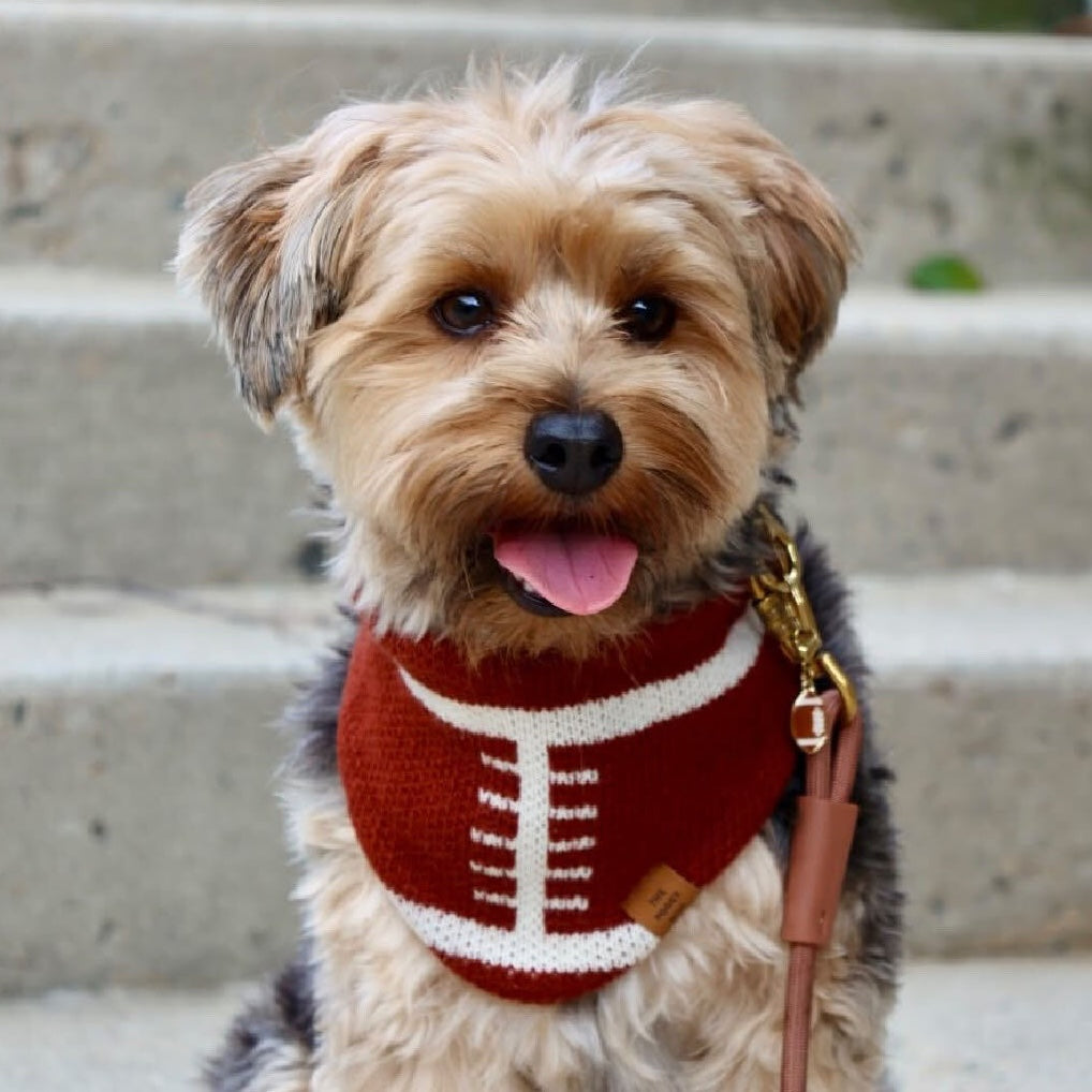 #Modeled by Max (10lbs) in Small