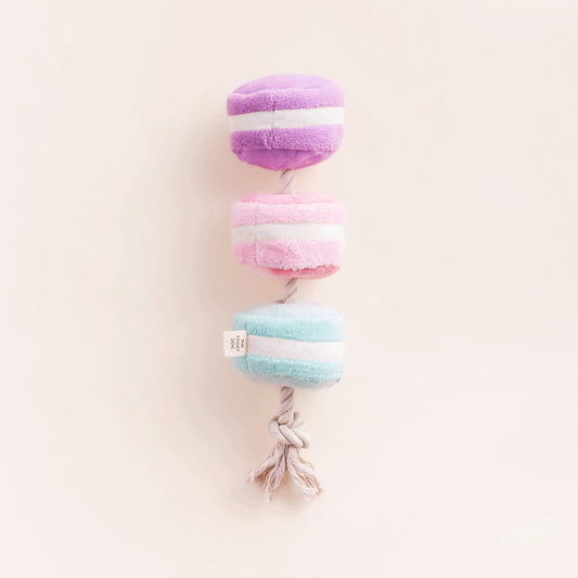 Macarons Interactive Snuffle Dog Toy view 2