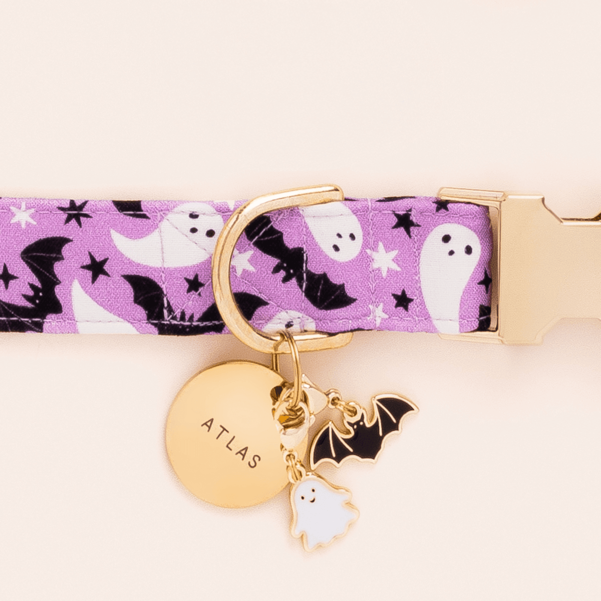 Ghost and Bat Collar Charm and Circle Pet ID Tag from The Foggy Dog