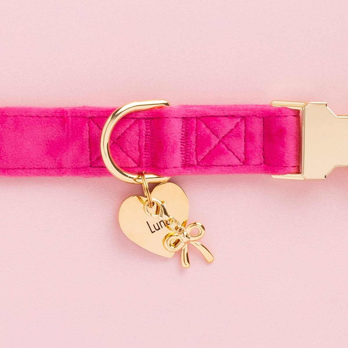 Hot Pink Velvet Dog Collar, Gold Bow Collar Charm, and Heart ID Tag from The Foggy Dog