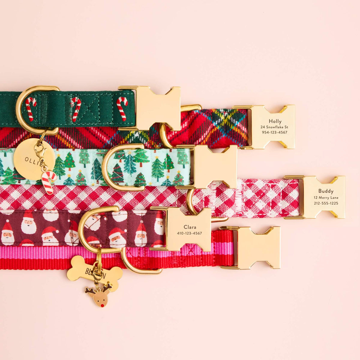 Tartan Plaid Flannel, Festive Firs, Charlotte Striped Webbing, Evergreen Embroidered Candy Canes, Red Gingham and Ho Ho Ho Dog Collars, Circle, and Bone Pet ID Tag, Candy Canes and Reindeer Collar Charm from The Foggy Dog