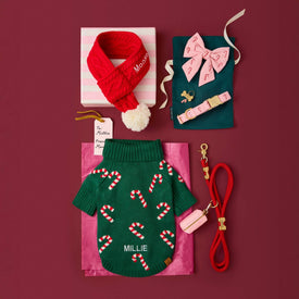Red Cable Knit Scarf, Blush Pink Candy Canes Embroidered Lady Bow and Collar, Evergreen Candy Canes Sweater, Ruby Leash, Blush Pink Waste Bag Holder, Bone Pet ID Tag and Candy Canes Collar Charm