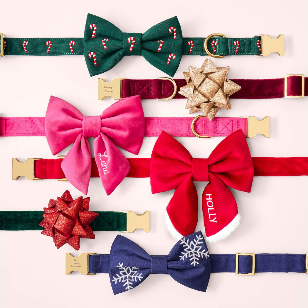 Evergreen Candy Canes and Snowflaked Embroidered Bow Tie Collar, Hot Pink Velvet and Santa Paws Lady Bow Collar, Red and Gold Gift Bow Collar Set