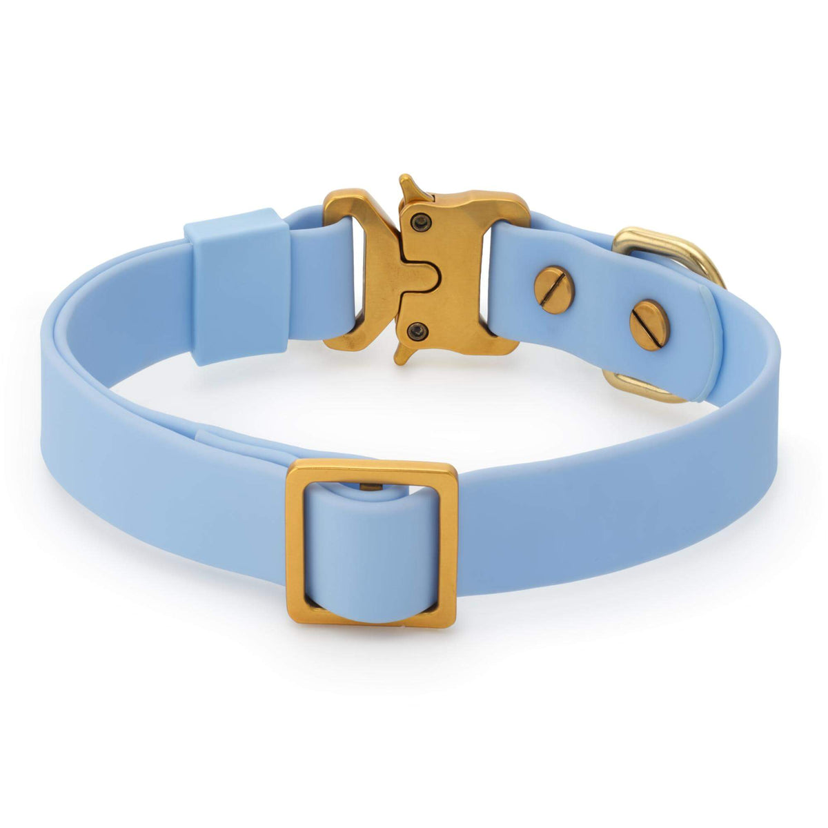 Active Flex Dog Collar, Alpine from The Foggy Dog