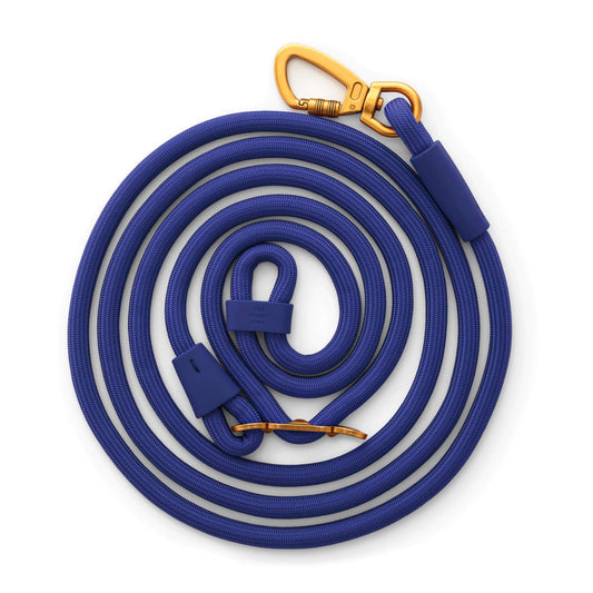 Active Hands-Free Dog Leash, Azure view 1