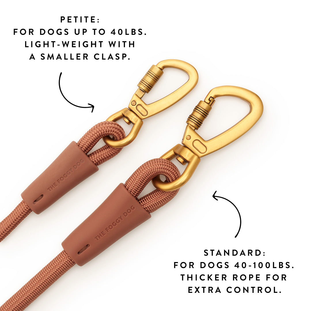 Active Hands-Free Dog Leash, Saddle from The Foggy Dog