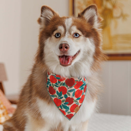 Apple of My Eye Dog Bandana view 2