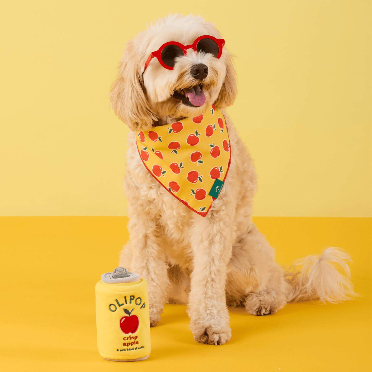 #Modeled by Ripley Jean (24lbs) in Medium