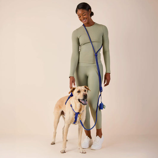 Active Everyday Harness Walk Set - With Handle (M/L), Azure view 2