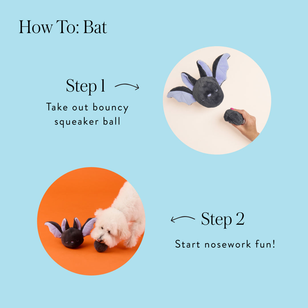 Bat 2-in-1 Bounce Dog Toy from The Foggy Dog