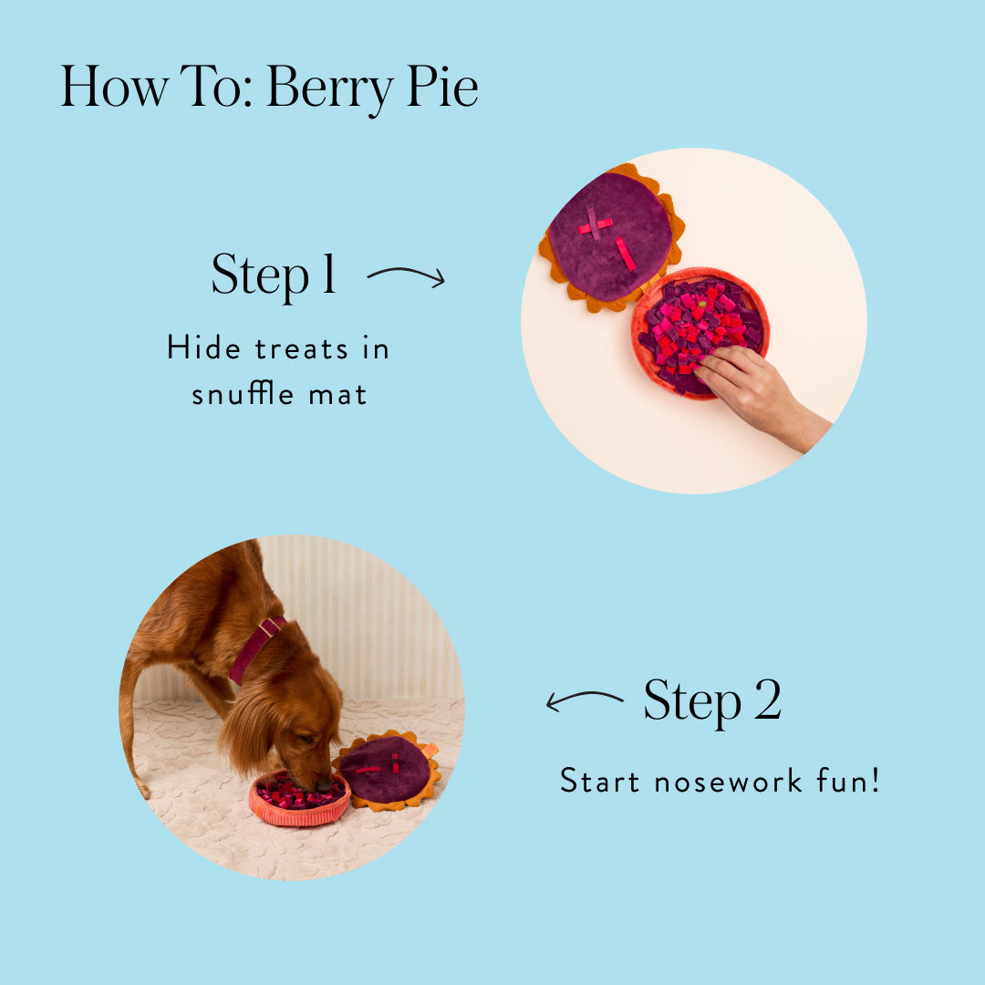 Berry Pie Interactive Snuffle Dog Toy from The Foggy Dog
