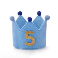 Light Blue Dog Birthday Crown from The Foggy Dog