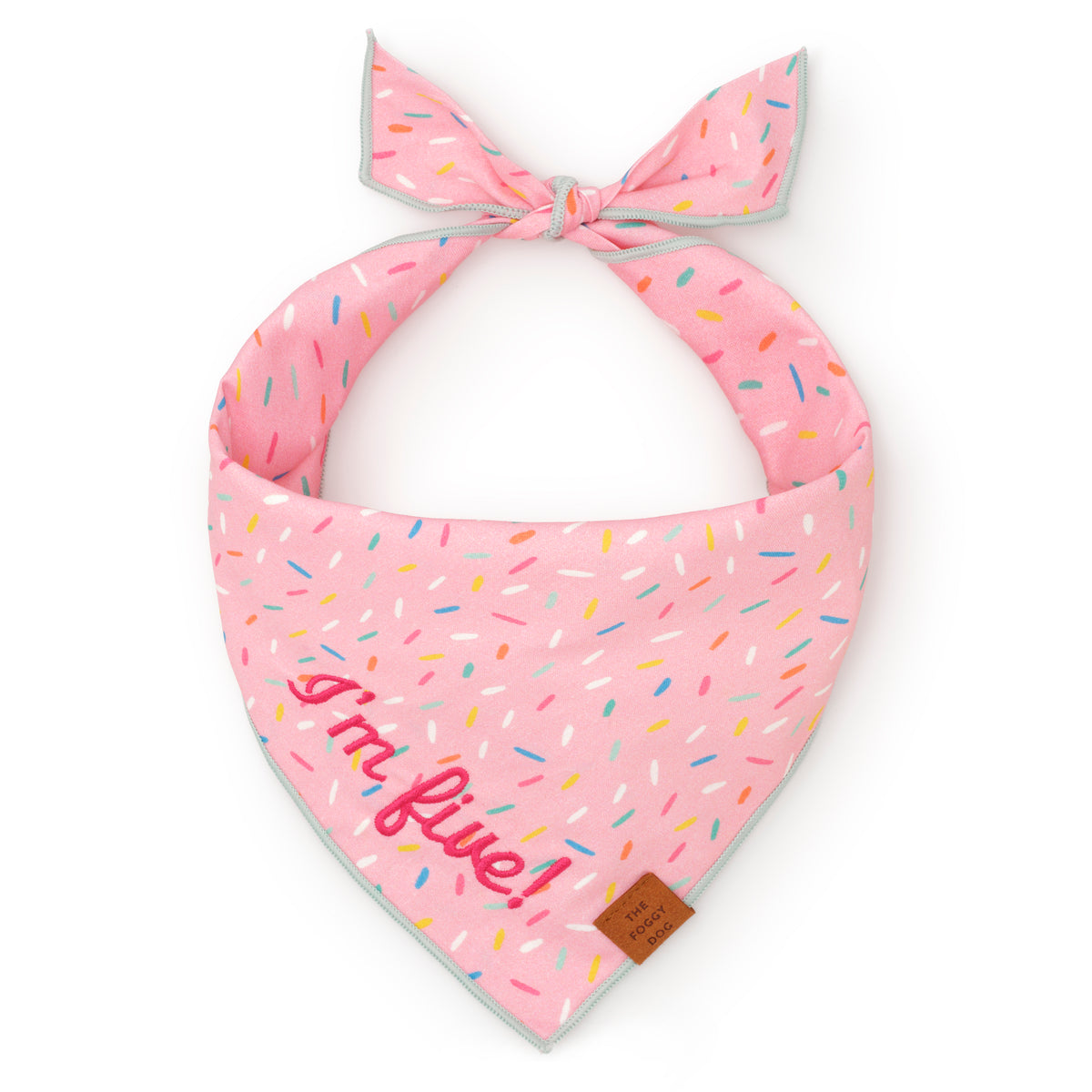 Sprinkles Dog Bandana from The Foggy Dog