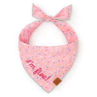 Sprinkles Dog Bandana from The Foggy Dog