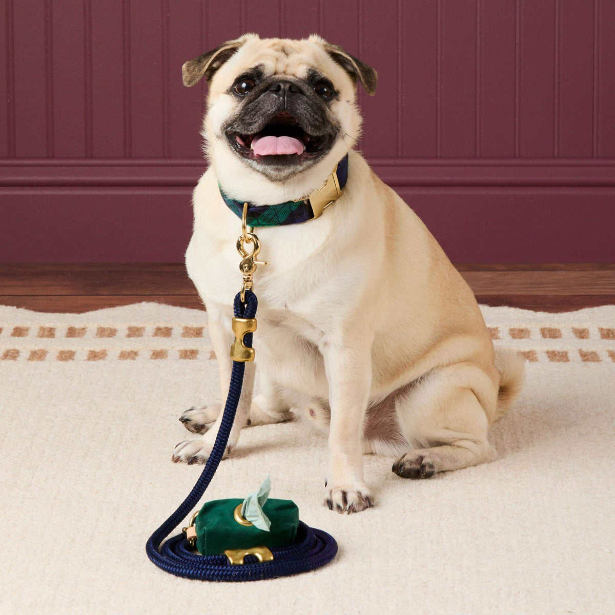 #Modeled by Greg (23lbs) in a Medium collar and Standard leash