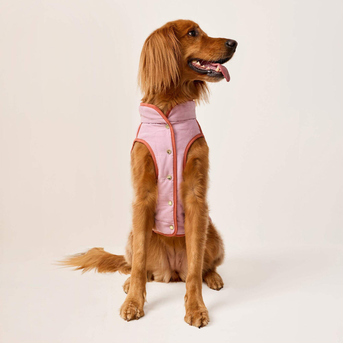 #Modeled by Maple (45lbs) in X-Large