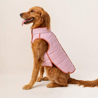 #Modeled by Maple (45lbs) in X-Large