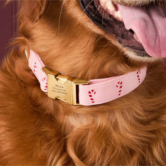 Blush Pink Candy Canes Embroidered Dog Collar view 2