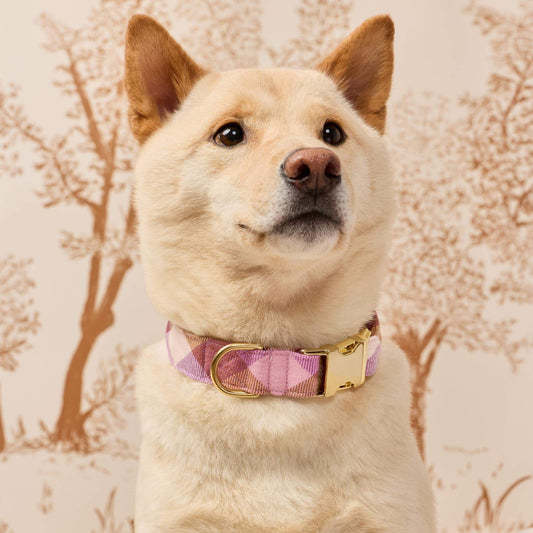 Bramble Flannel Dog Collar view 2