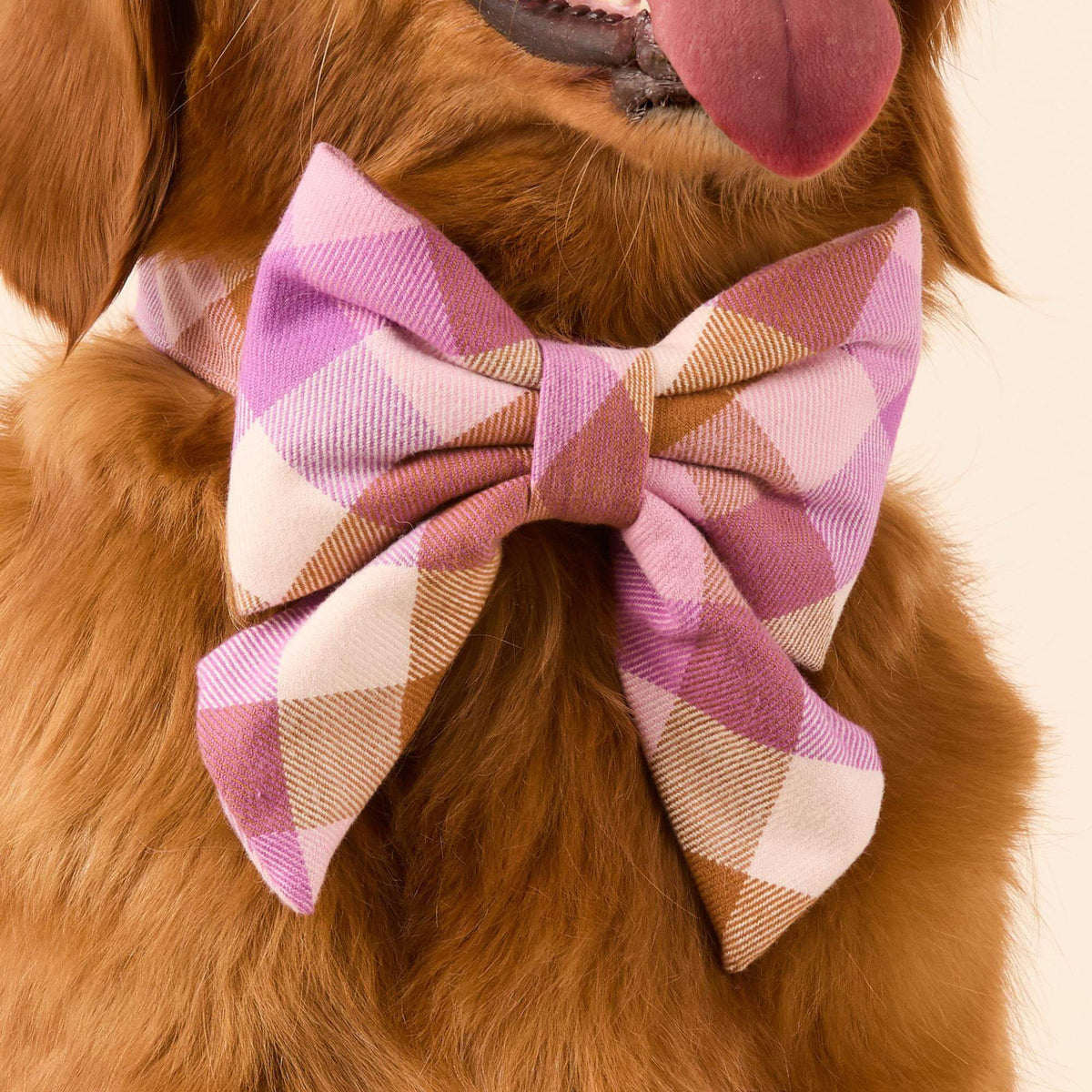 #Modeled by Pukalani (45lbs) in a Large lady bow