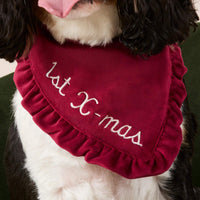 #Modeled by Mortimer (20lbs) in Small