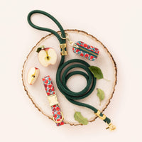 Evergreen Marine Rope Dog Leash (Standard/Petite) from The Foggy Dog 