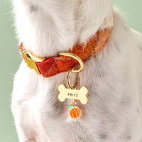 Pumpkin Collar Charm from The Foggy Dog