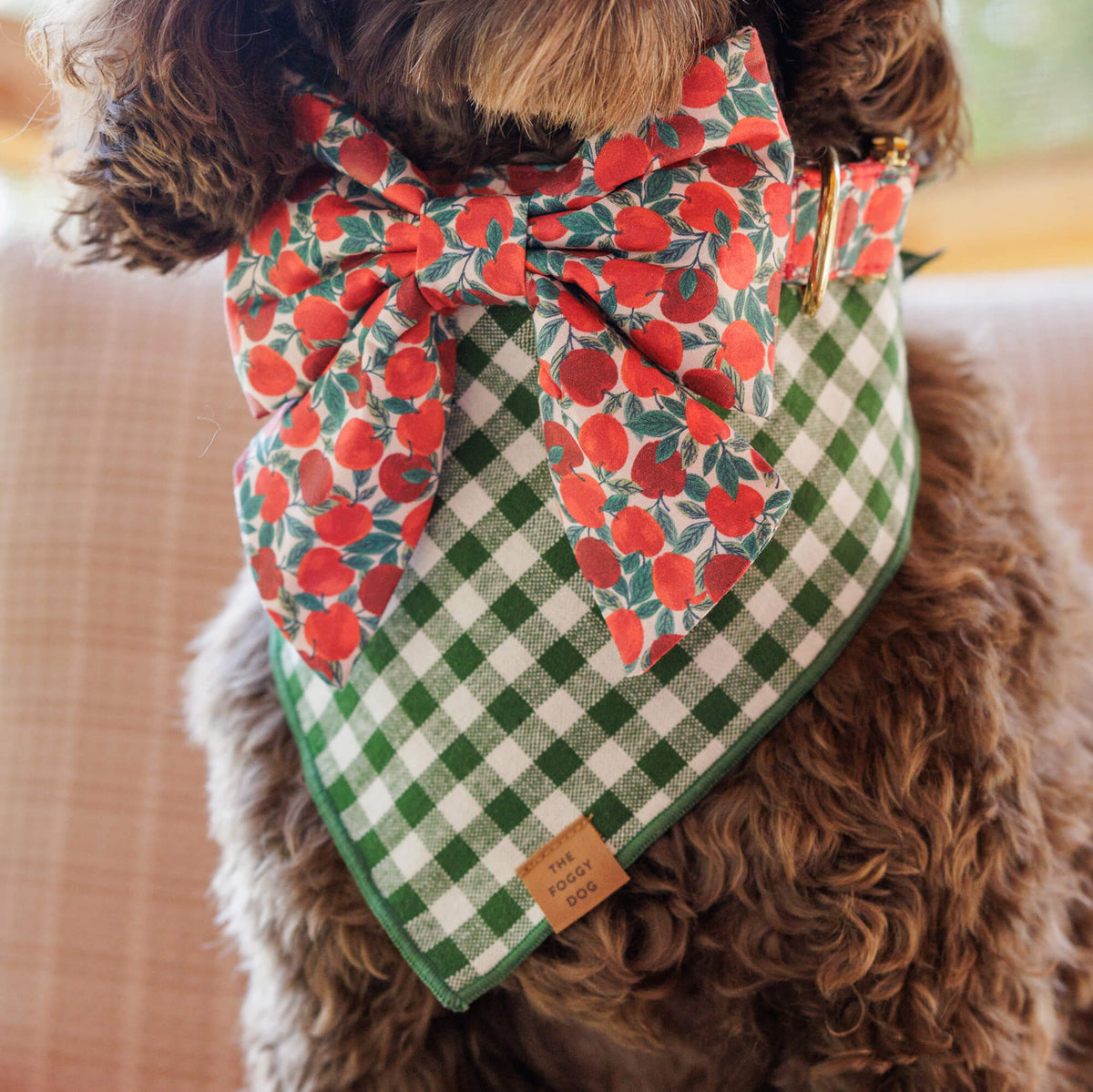 #Modeled by Zuma (23lbs) in a Medium collar and Large lady bow