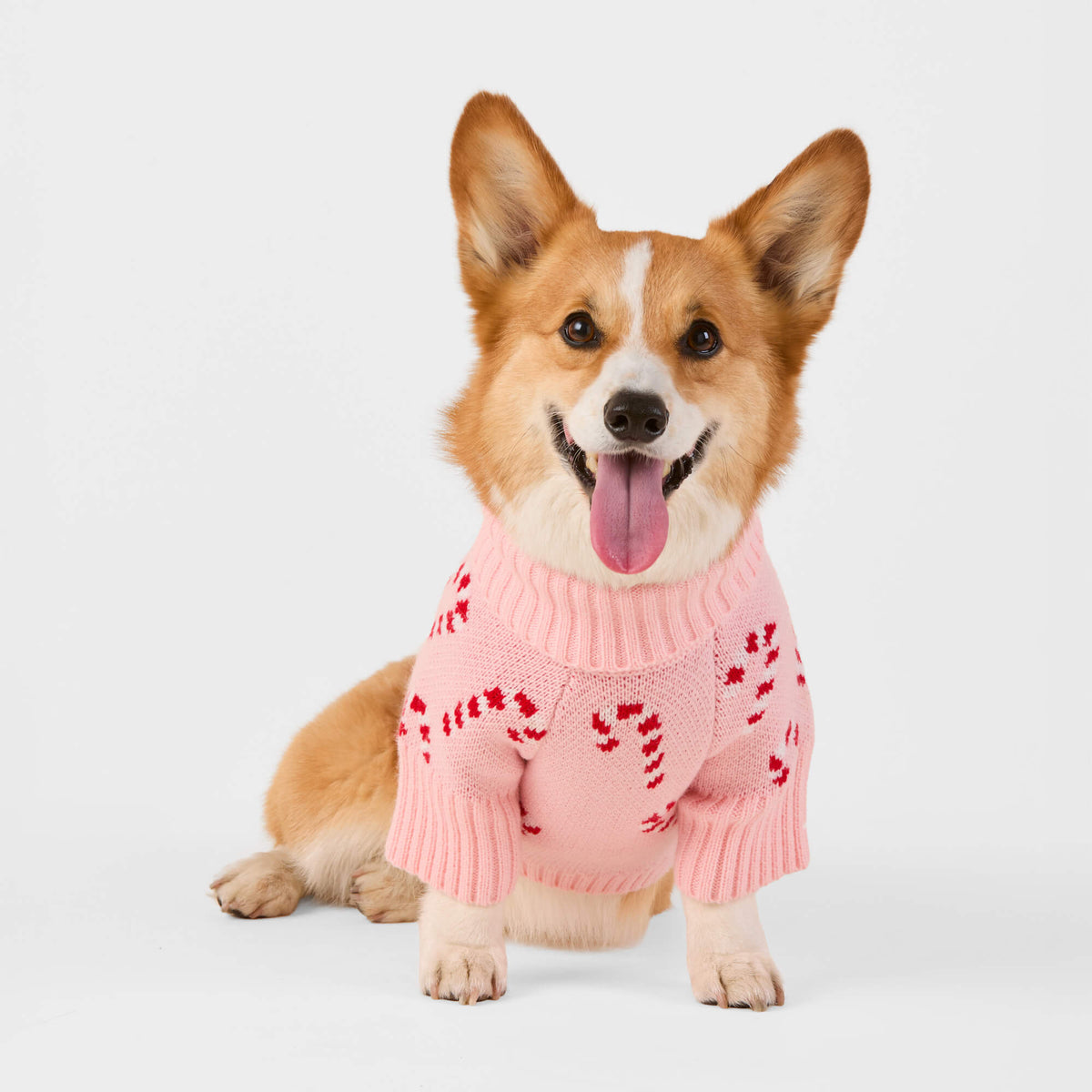 #Modeled by Captain (30lbs) in Medium