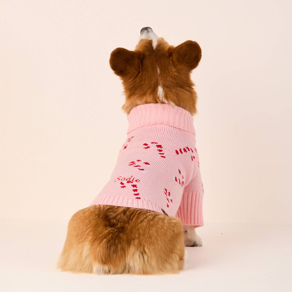 #Modeled by Captain (30lbs) in Medium