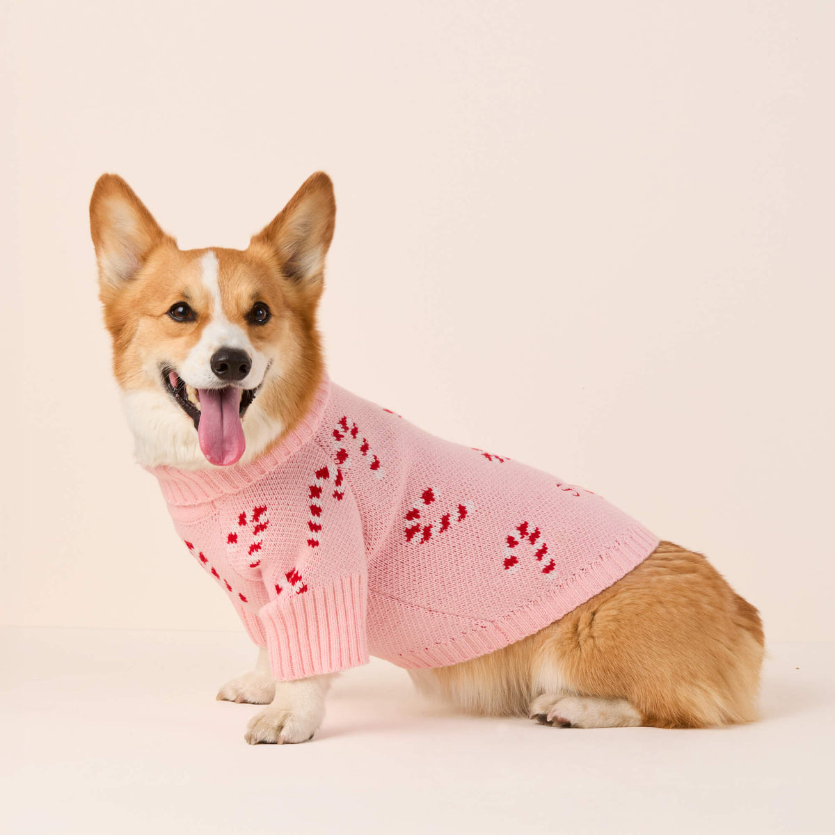 #Modeled by Captain (30lbs) in Medium