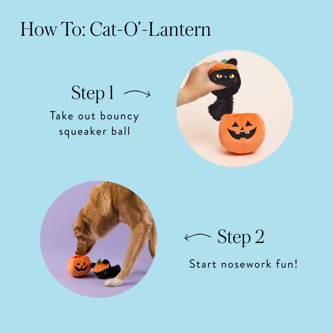 Cat-o’-Lantern 2-in-1 Bounce Dog Toy from The Foggy Dog