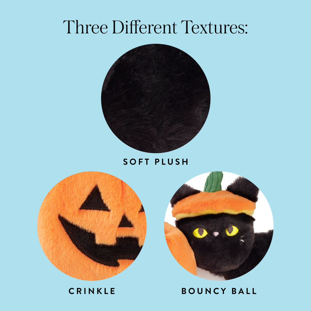 Cat-o’-Lantern 2-in-1 Bounce Dog Toy from The Foggy Dog