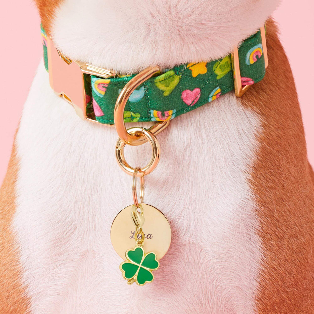 Lucky Clover Collar Charm from The Foggy Dog